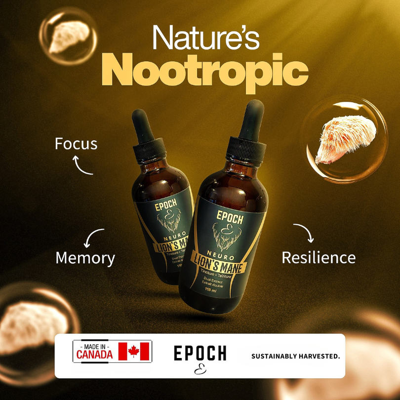 Neuro: Lion's Mane Tincture