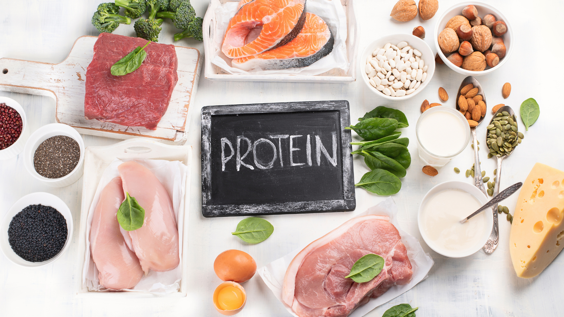 Best Protein Sources: Amino Acid Profile and Bioavailability